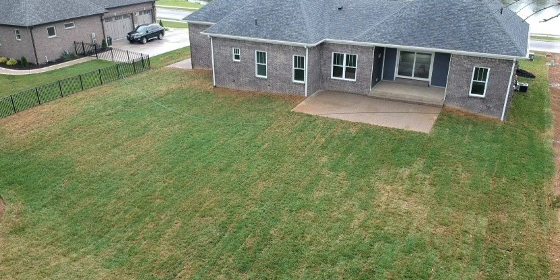 Back yard