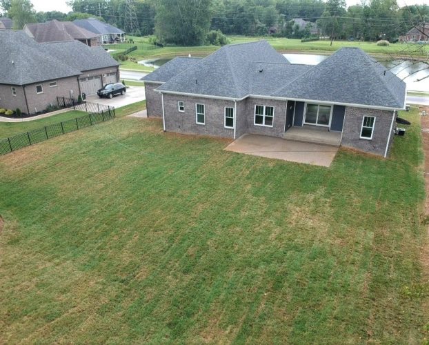 Back yard